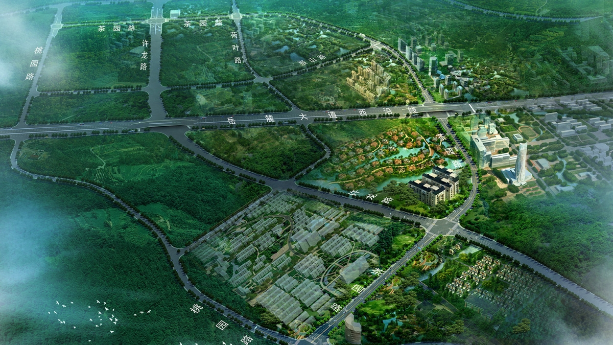 桐宁路、茶园路道路工程