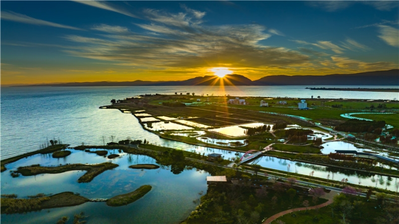 宝丰半岛湿地建设项目彰显中机智慧