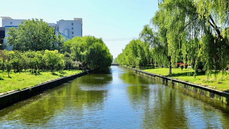 东山国际企业研发园水体环境整治工程