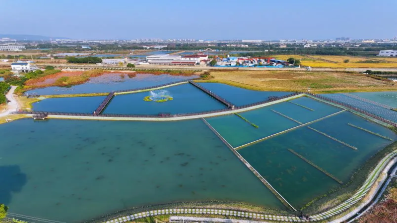 常州雅浦港生态缓冲区示范工程项目顺利完成竣工验收