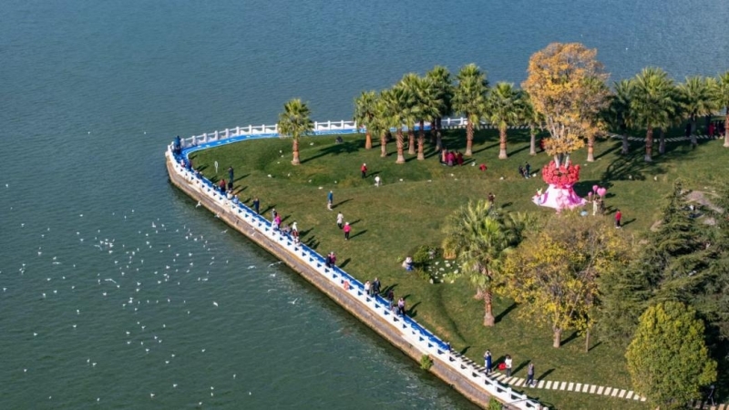 引爆全媒体热潮！新年庆福保，中机国际助力福保半岛乡村振兴建设