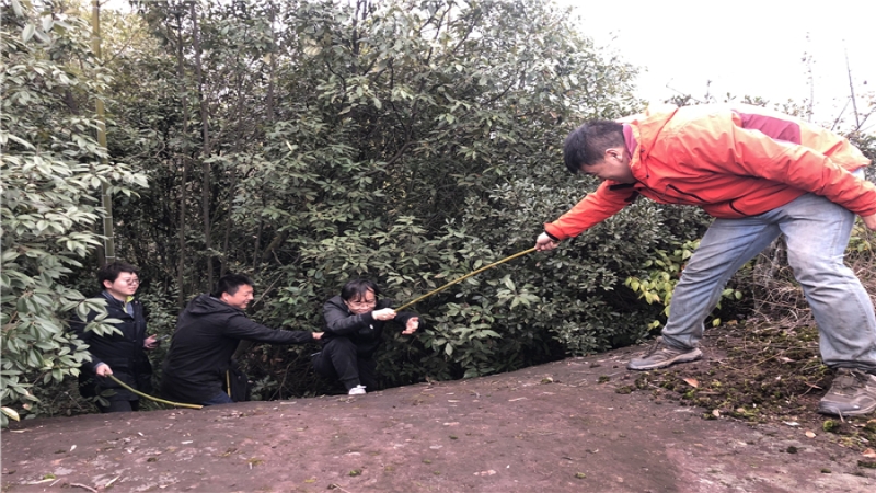 【致敬可爱中机人】为光明接力的攀登者