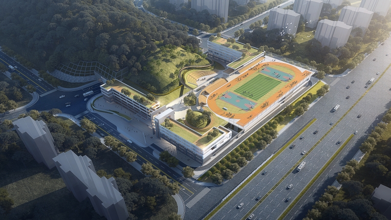 解放天性 共享“山趣”校园一一金星小学项目