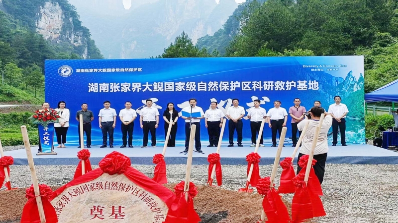 仲夏当“燃”！中机国际两代建项目开工建设