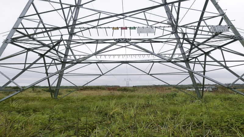 刚果布马鲁库220kV输变电工程