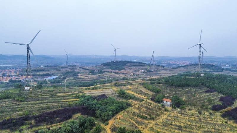 以大代小，青岛大桥风场改造的“焕新密码”