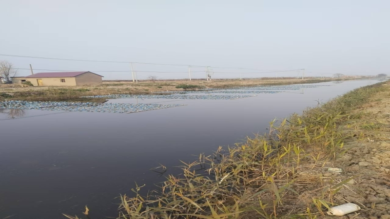 水产养殖尾水治理，助力渔业绿色生态高质量发展
